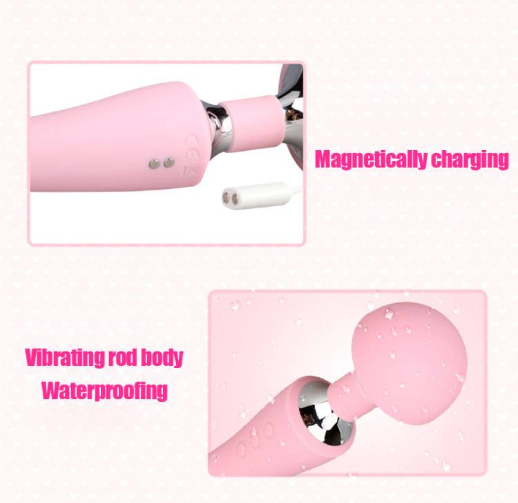 Double Ended Vibrator Details