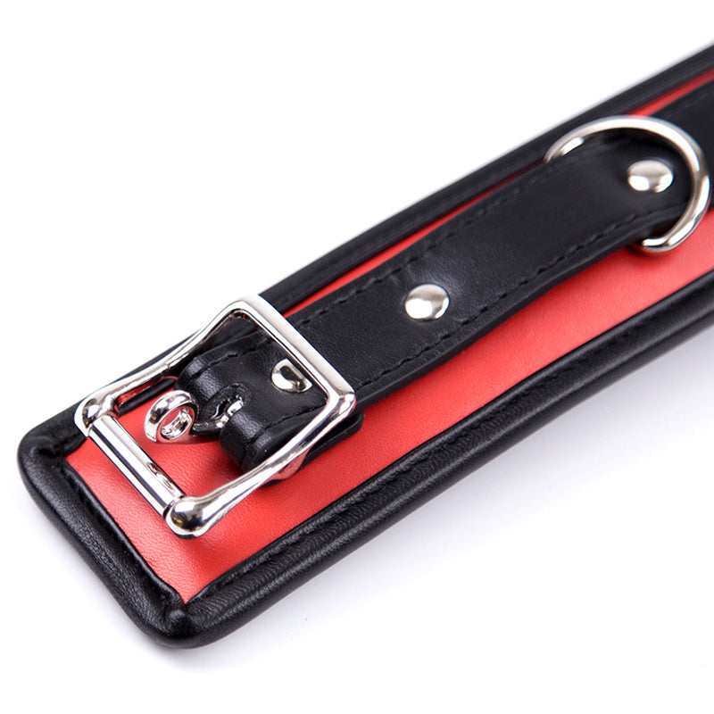 Stuffed Black And Red Leather Collar Close Up