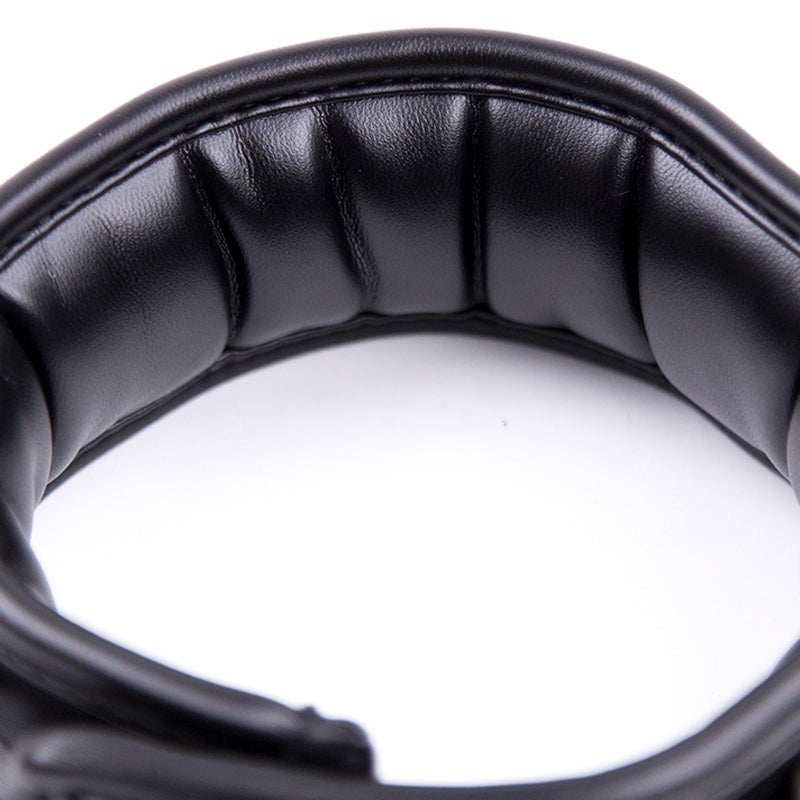 Stuffed Black Leather Collar Close Up