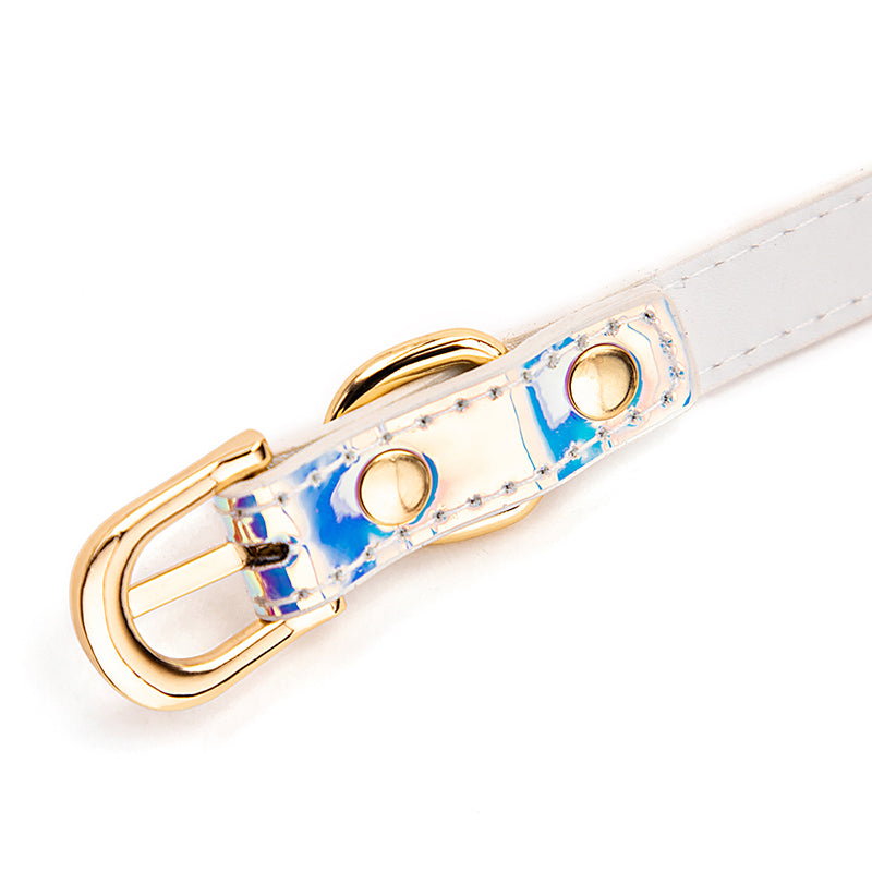 Pastel Pretty Ball Gag